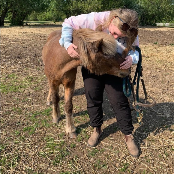 Meet your Posher, Cassie - Picture 3 of 4